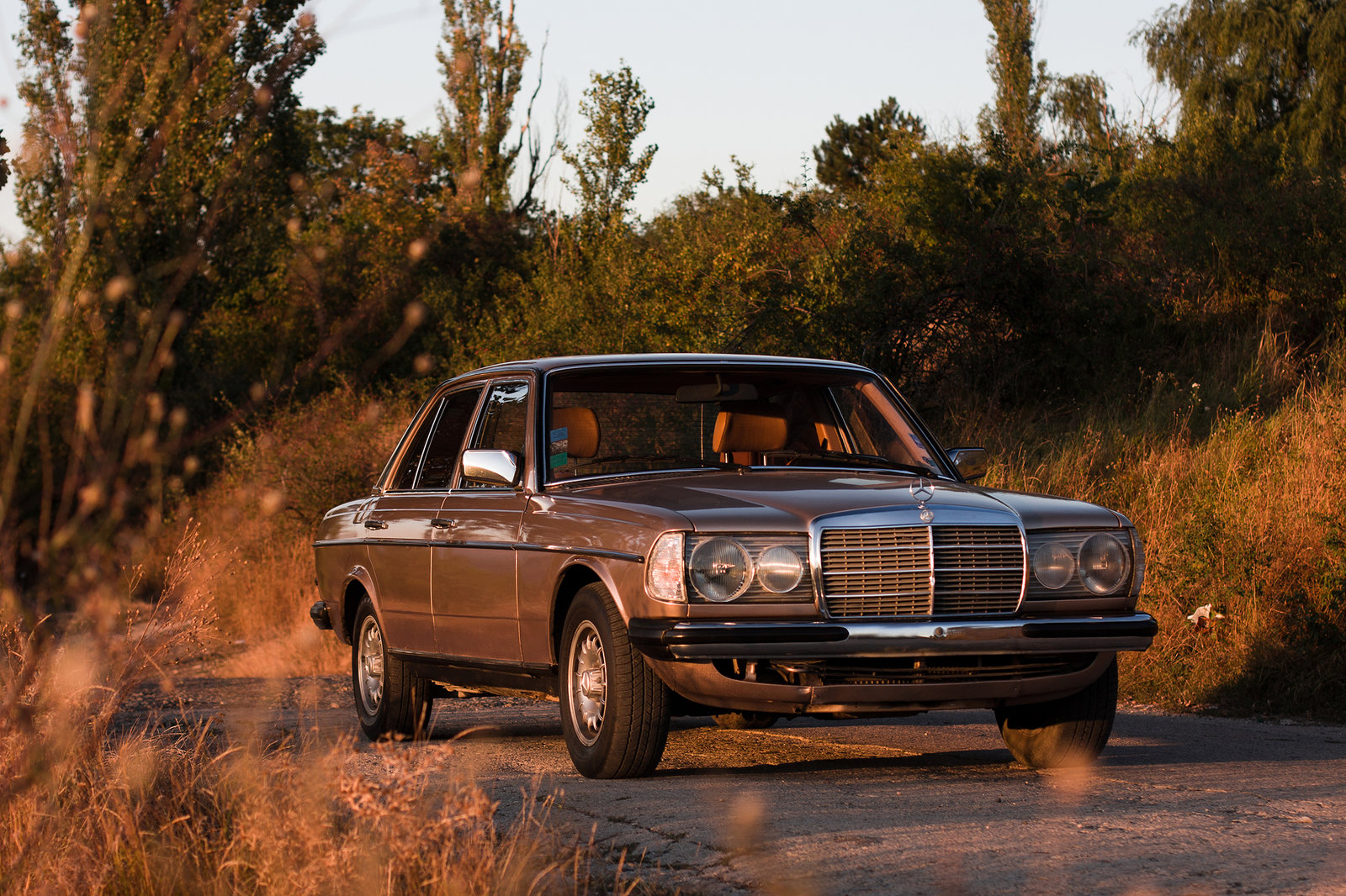 Here Is A Gorgeous W123 For Your Ing Pleasure
