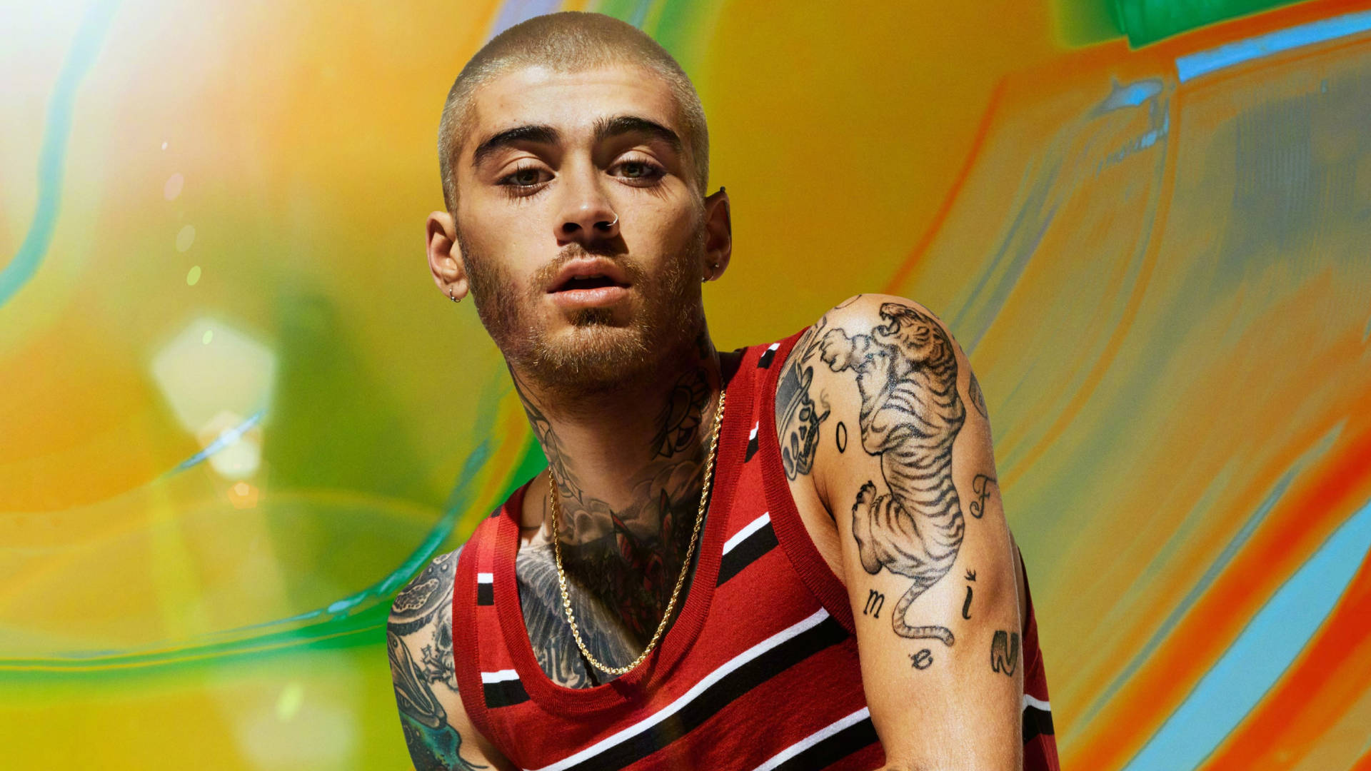 Zayn Malik Wallpaper