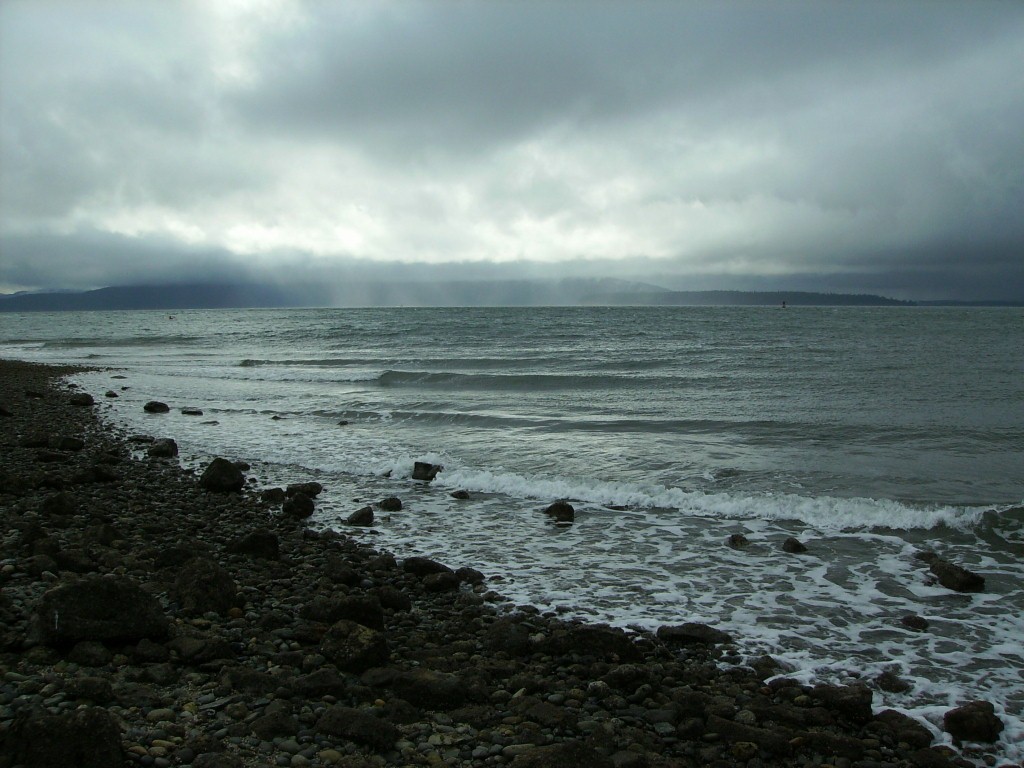 Gray Pacific Northwest Coast Puget Sound Beach Wallpaper Background
