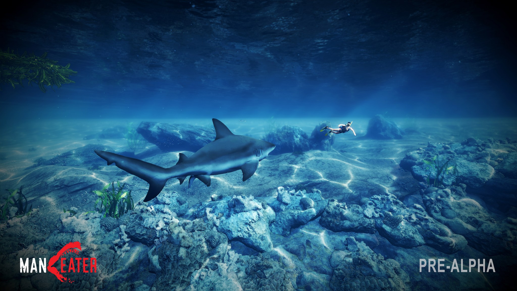 Jaws Unleashed In New Image From Video Game Maneater Where You