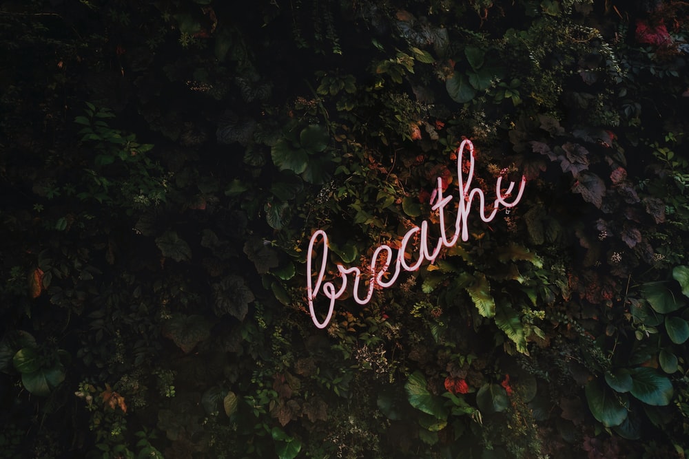 100 Breathe Pictures [HD] Download Free Images on