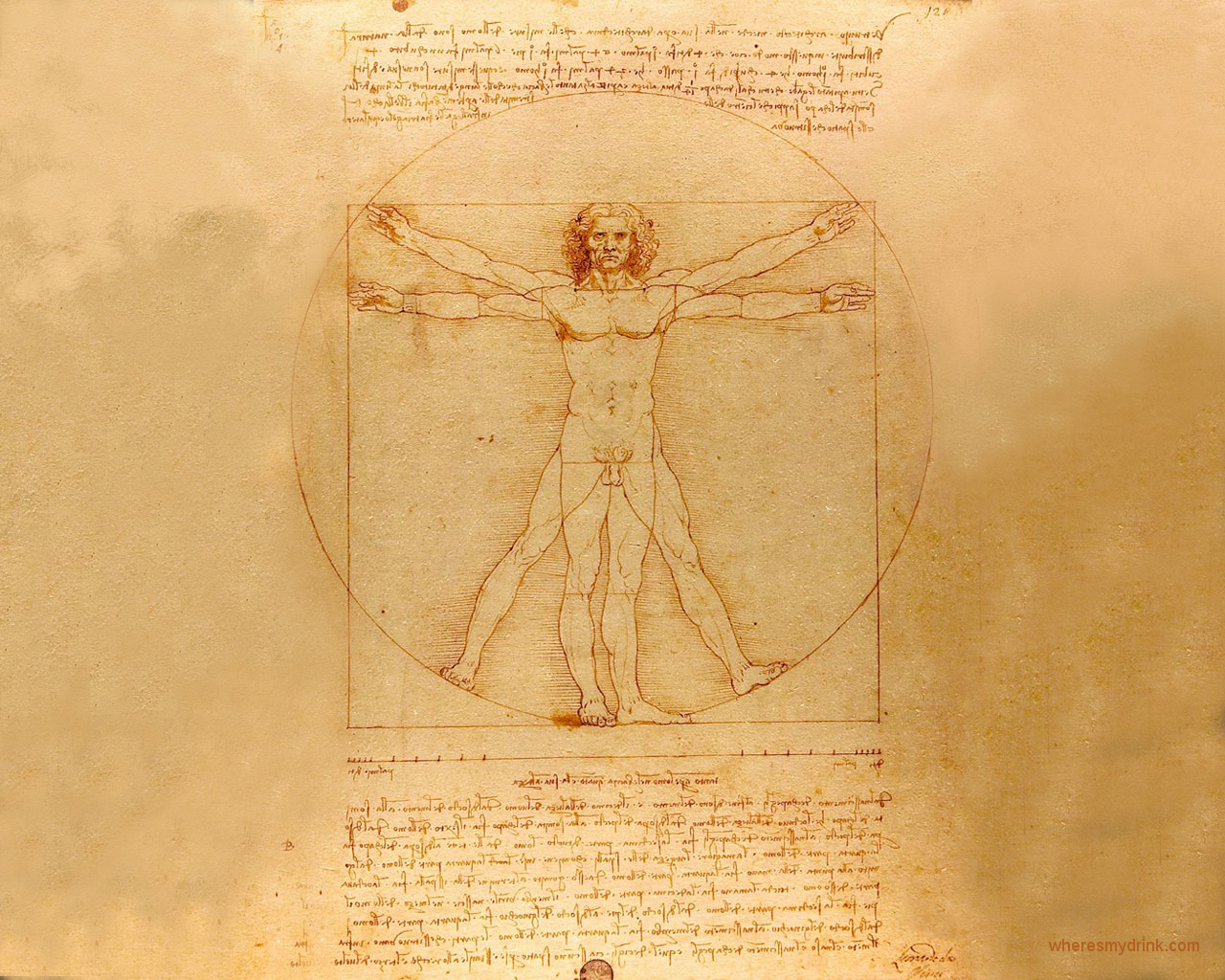 Man Wallpaper Art Widescreen Leonardo Da Vinci