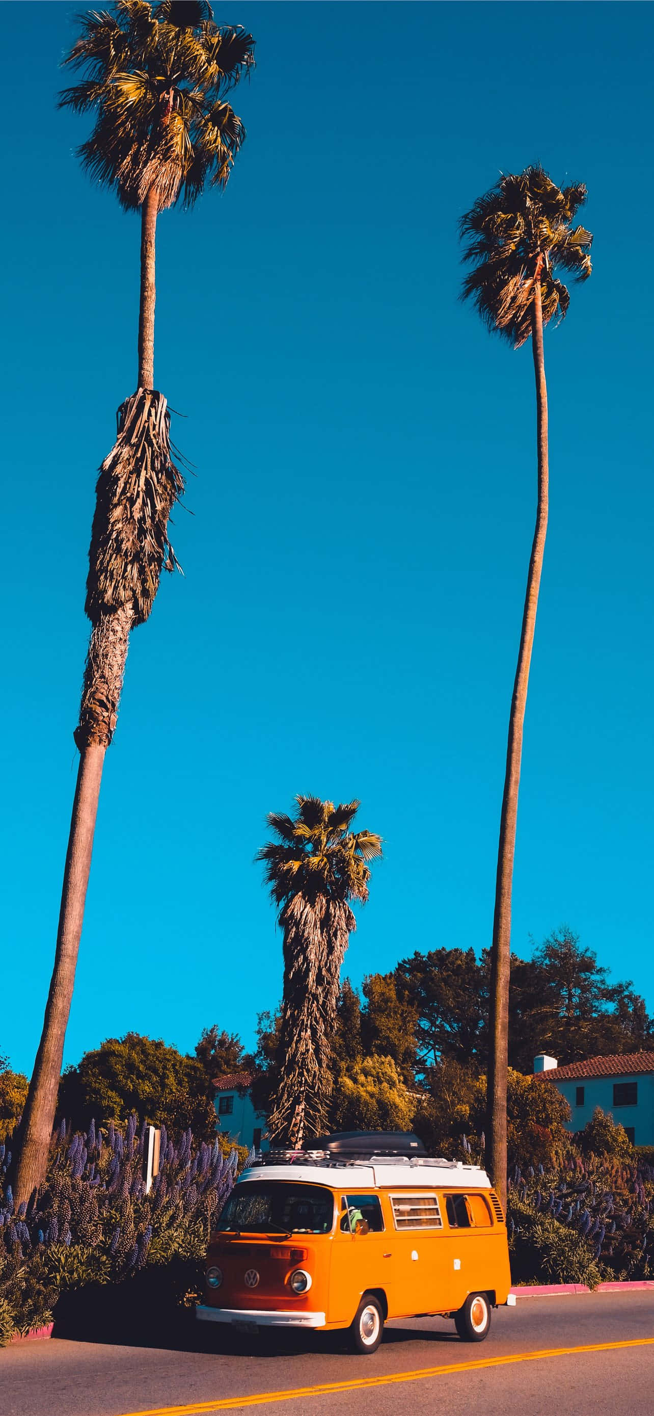 California Aesthetic Wallpaper
