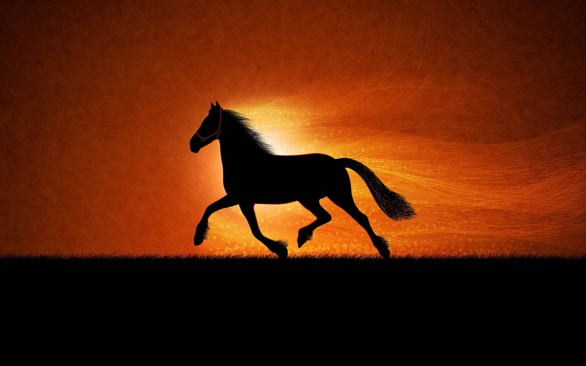 Running Horse Wallpaper Desktop