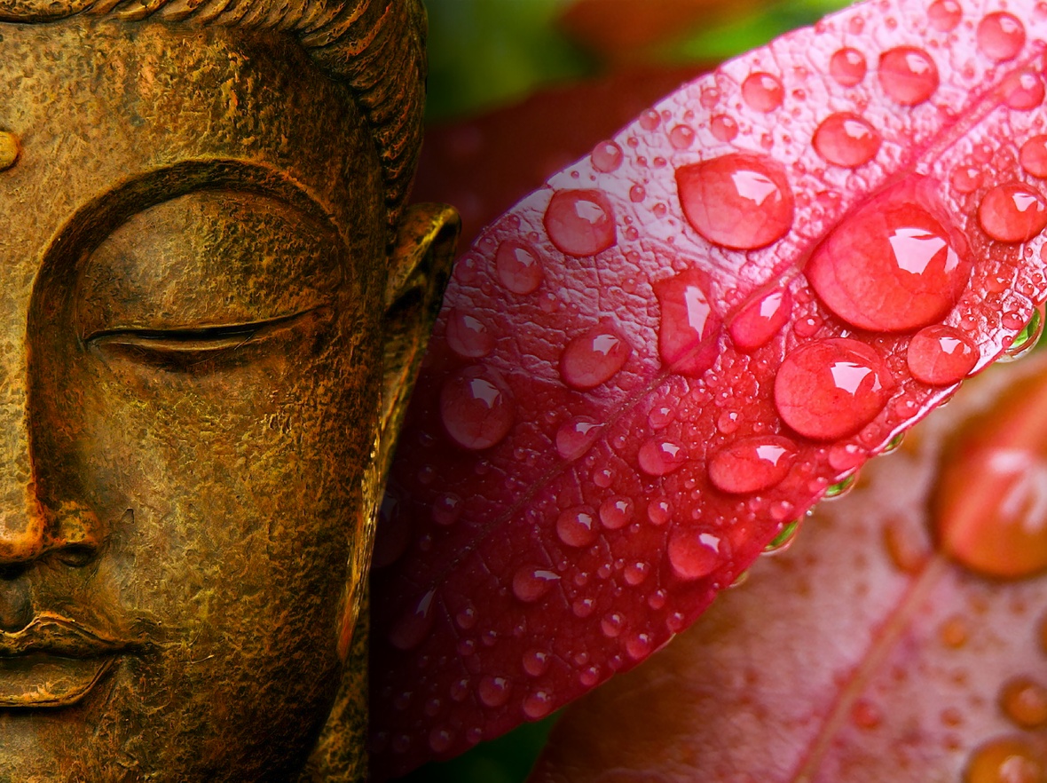 Buddha Quotes Online HD Wallpaper Lord And Patel Of