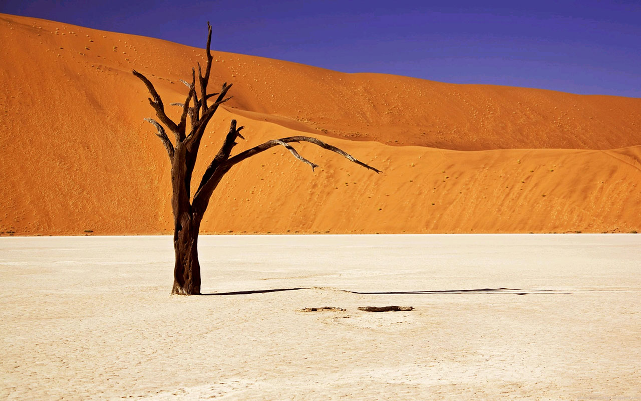Desolate Desert Scenery Desktop Wallpaper Landscape