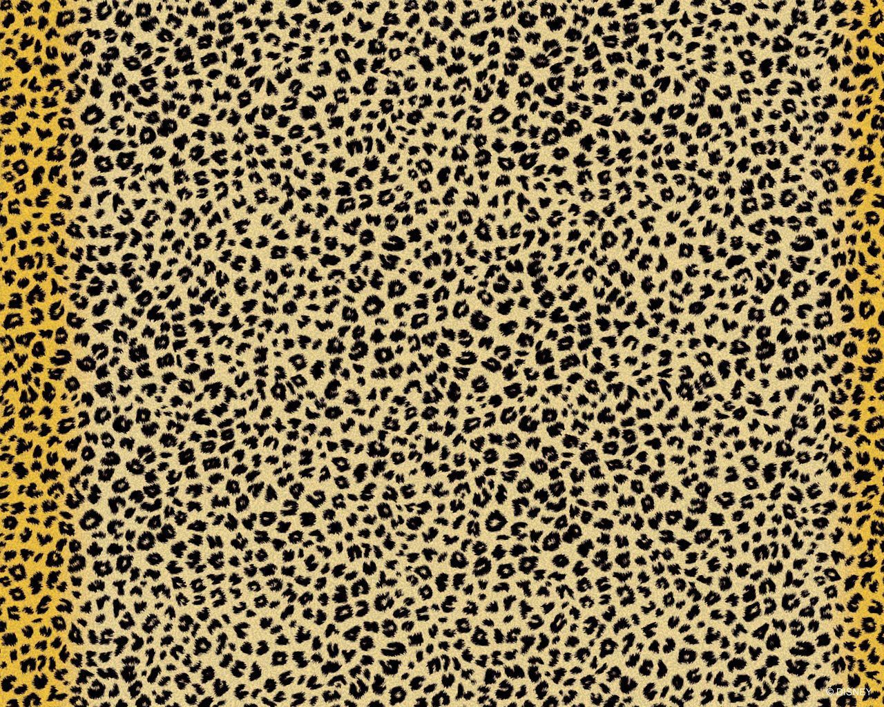 Wallpapers Cheetah 76