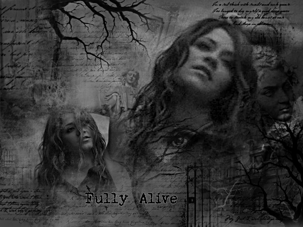 Fully Alive Wallpaper Christian And Background