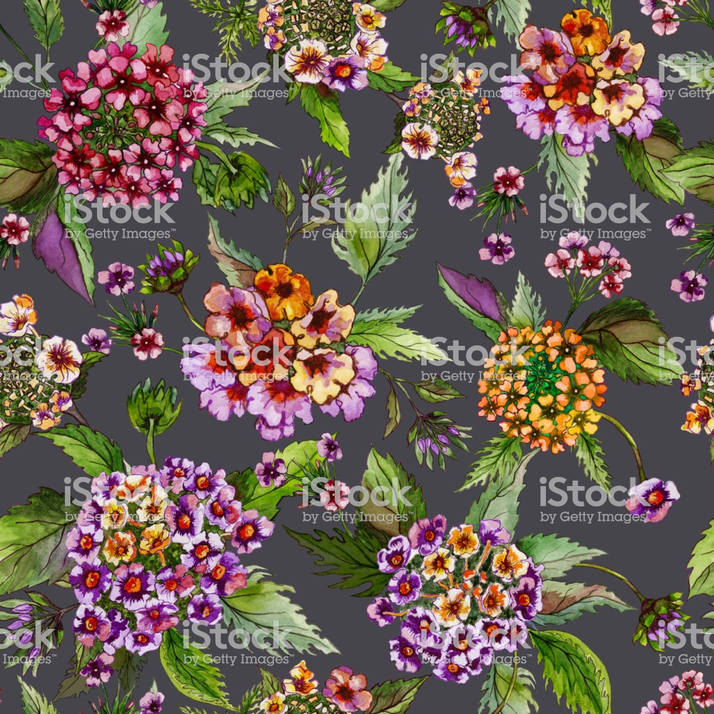 Free Download Beatiful Lantana Flowers With Green Leaves On Grey Background 1024x1024 For Your Desktop Mobile Tablet Explore 52 Beatiful Backgrounds Beautiful Wallpaper Images Pretty Wallpapers For Computers Beautiful Wallpaper