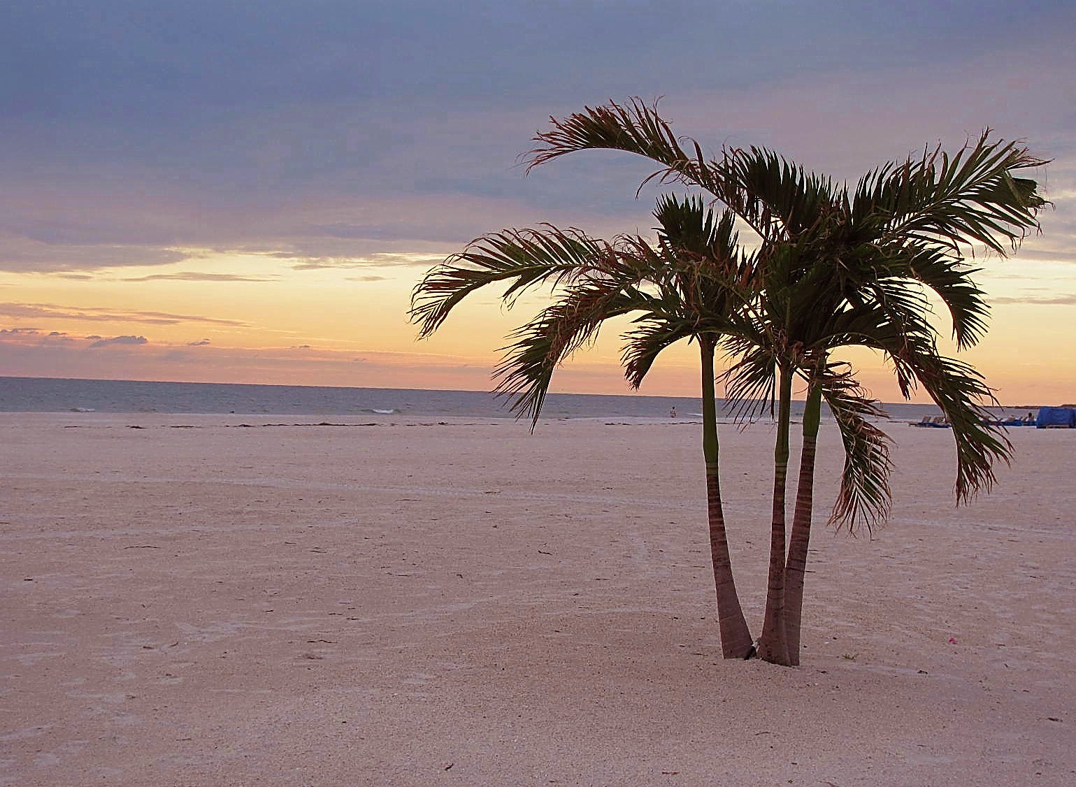 5 Reasons Why Clearwater is One of America's Top Beaches - Opal Collection