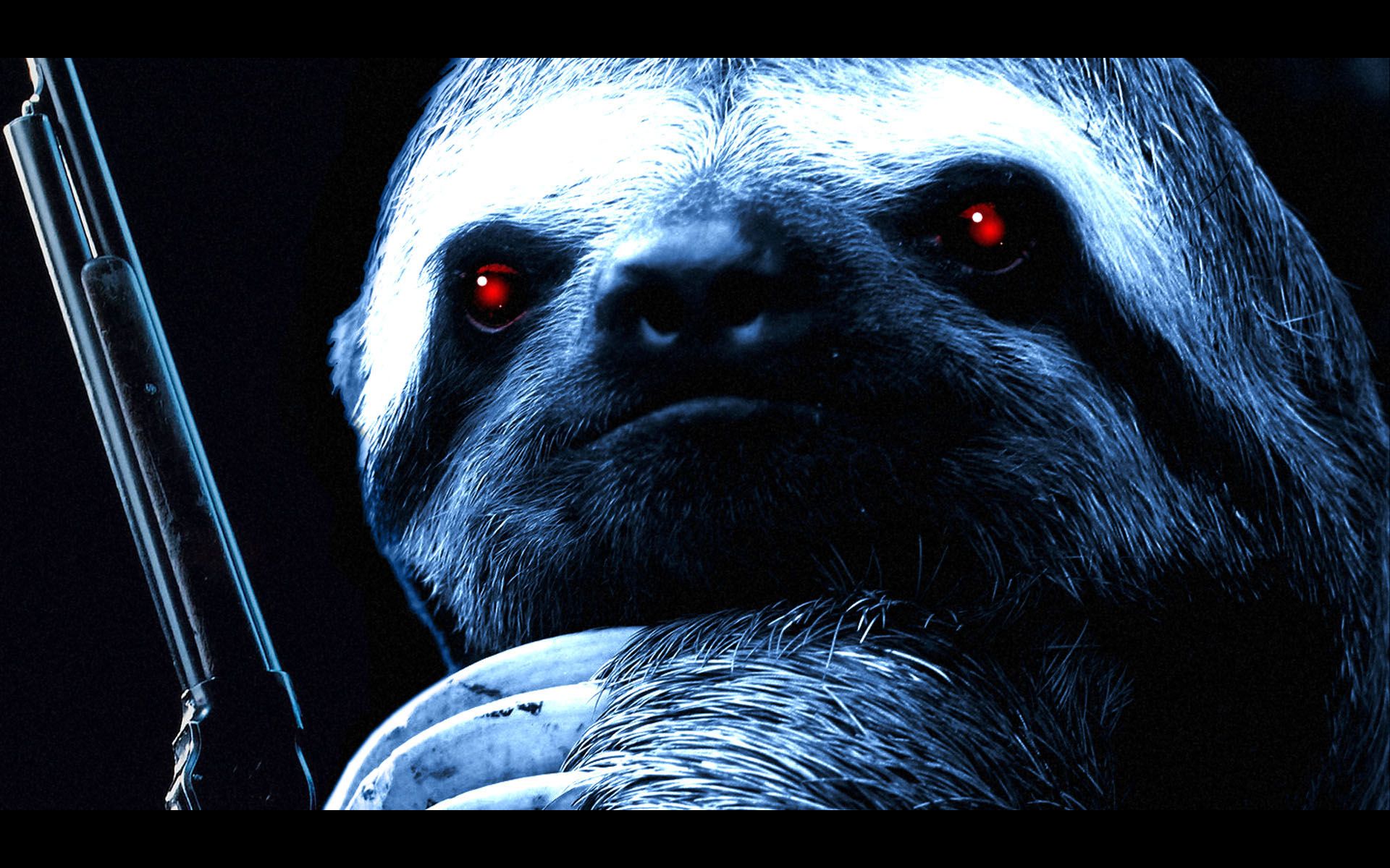 Sloth Wallpaper Full HD Search