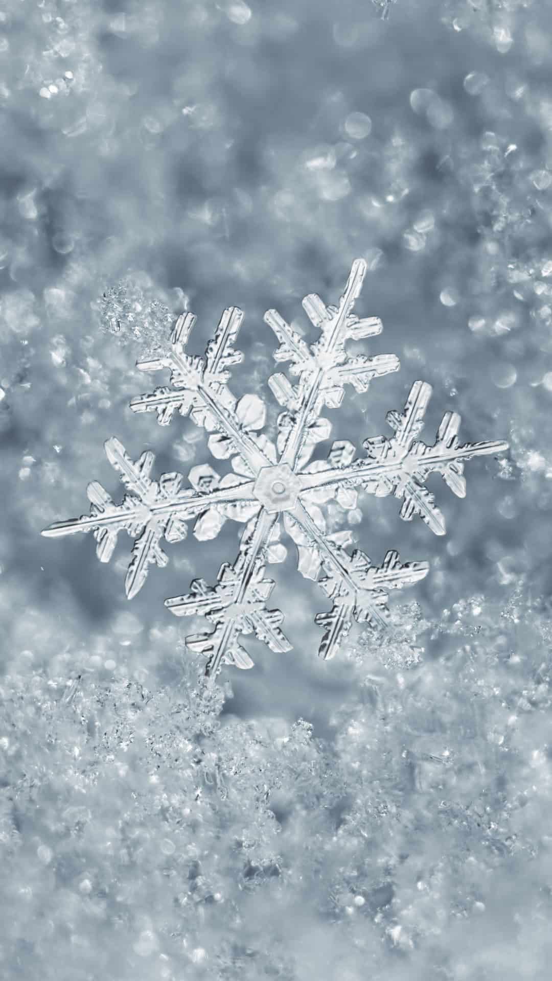Snowy Wallpaper iPhone