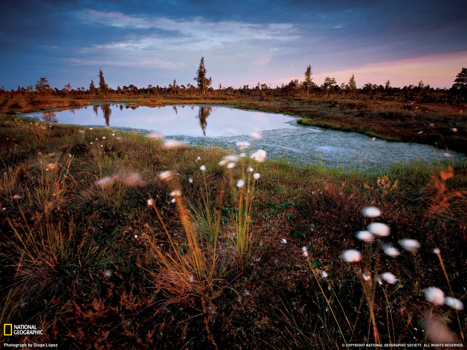 National Park Photo Latvia Wallpaper National Geographic