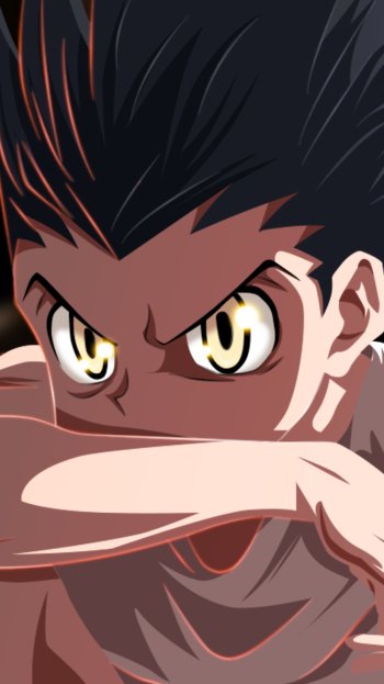 Hunter X Wallpaper