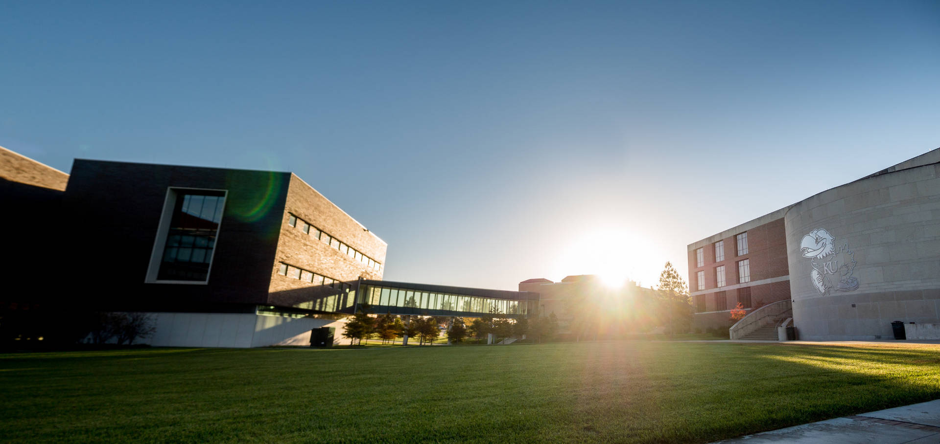 University Of Kansas Wallpaper