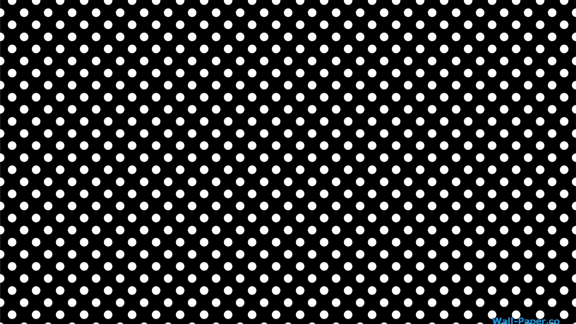 White Dots On Black Background Wallpaper In Textures