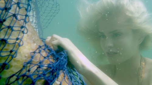 Mako Mermaids Image Sirena To The Rescue Wallpaper And