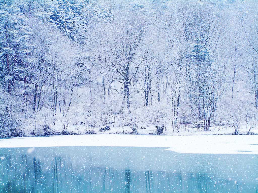Nature Beautiful Winter Wallpaper Beauty Of Season