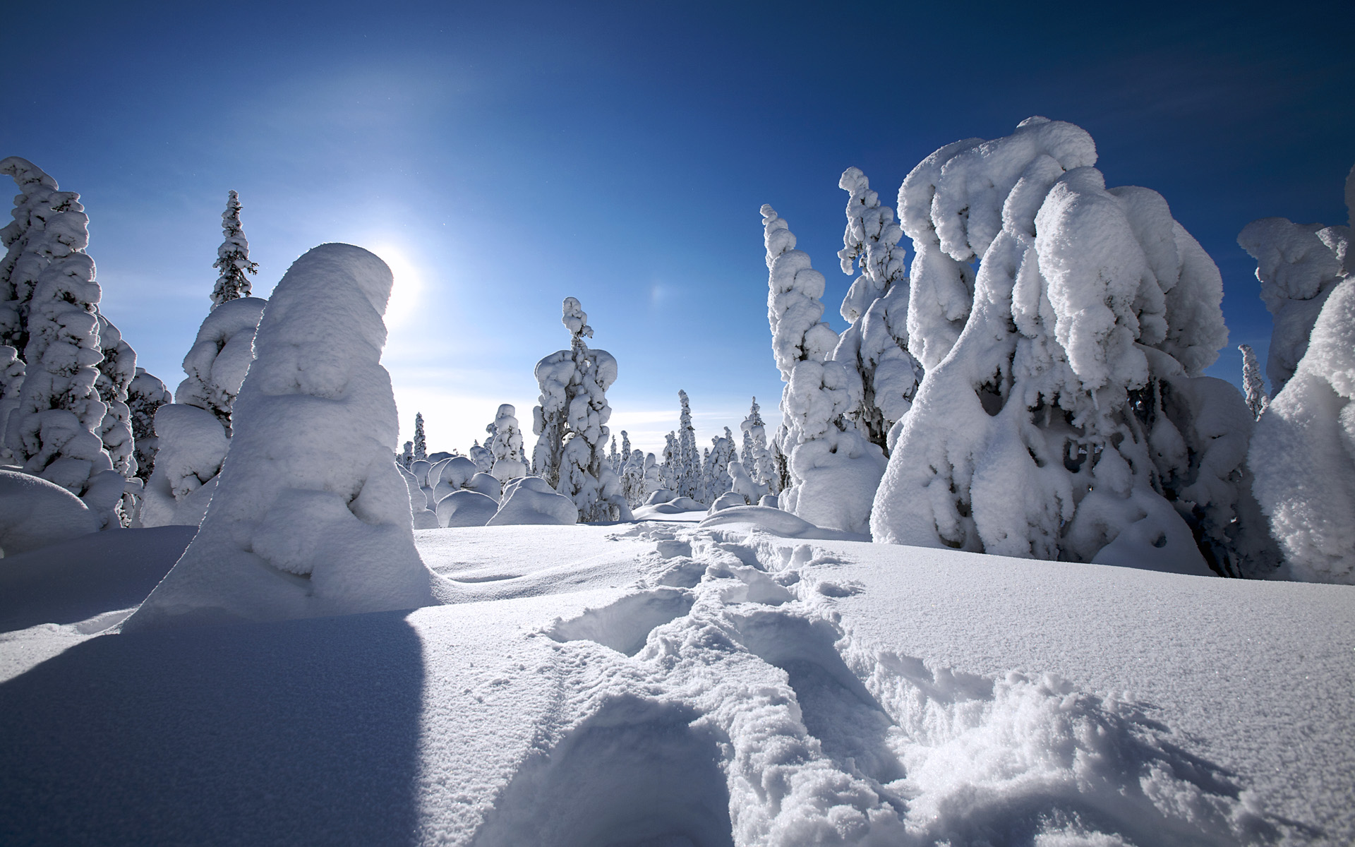 Winter In Finland Wallpaper HD