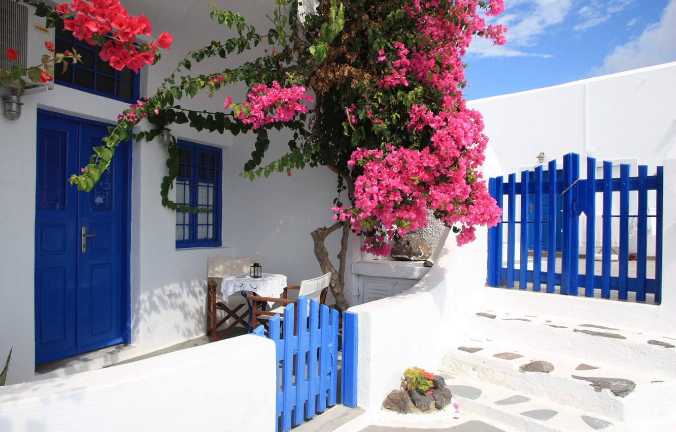 Wallpaper Flowers Gate Santorini Greece House Wicket