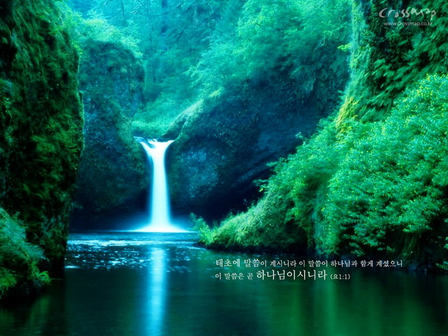 Pictures Super Image Superb Green Color Using Natural Wallpaper