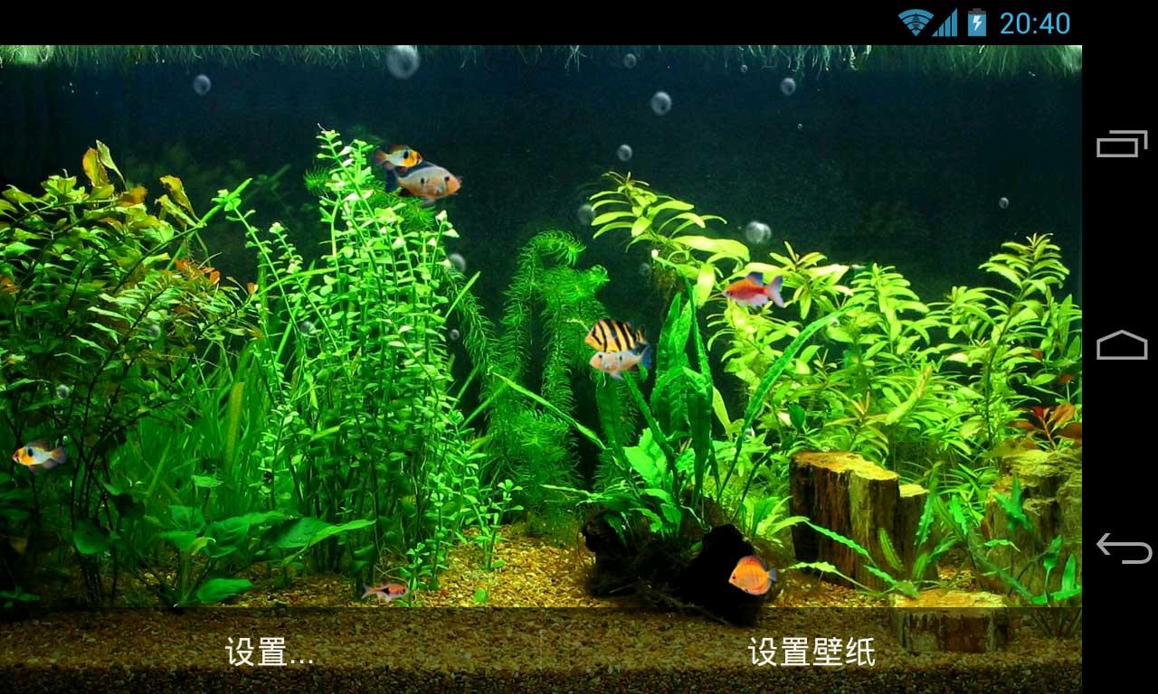 Fish Tank HD Live Wallpaper   Android Apps on Google Play