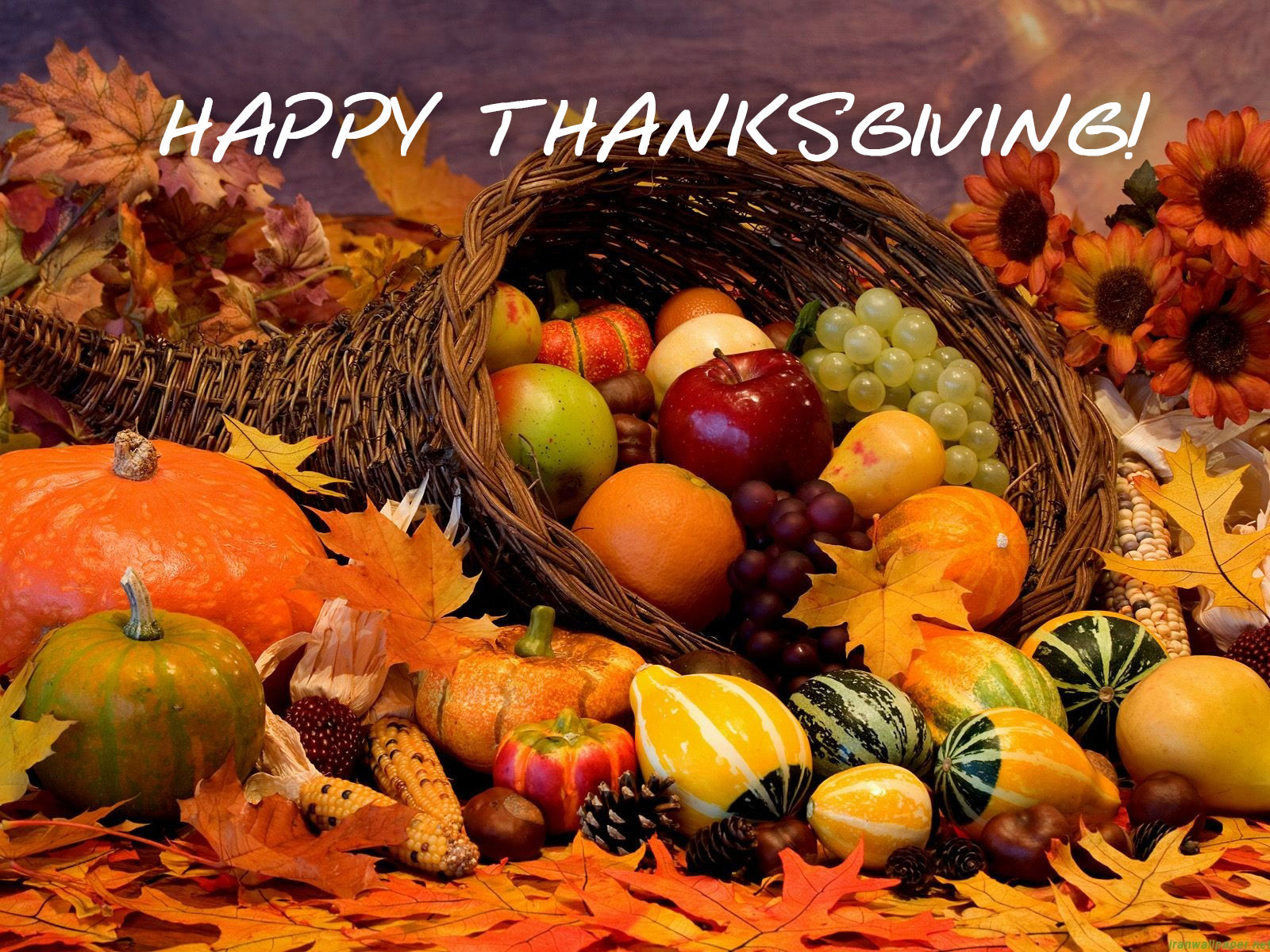 Happy Thanksgiving Wallpaper HD Background Desktop