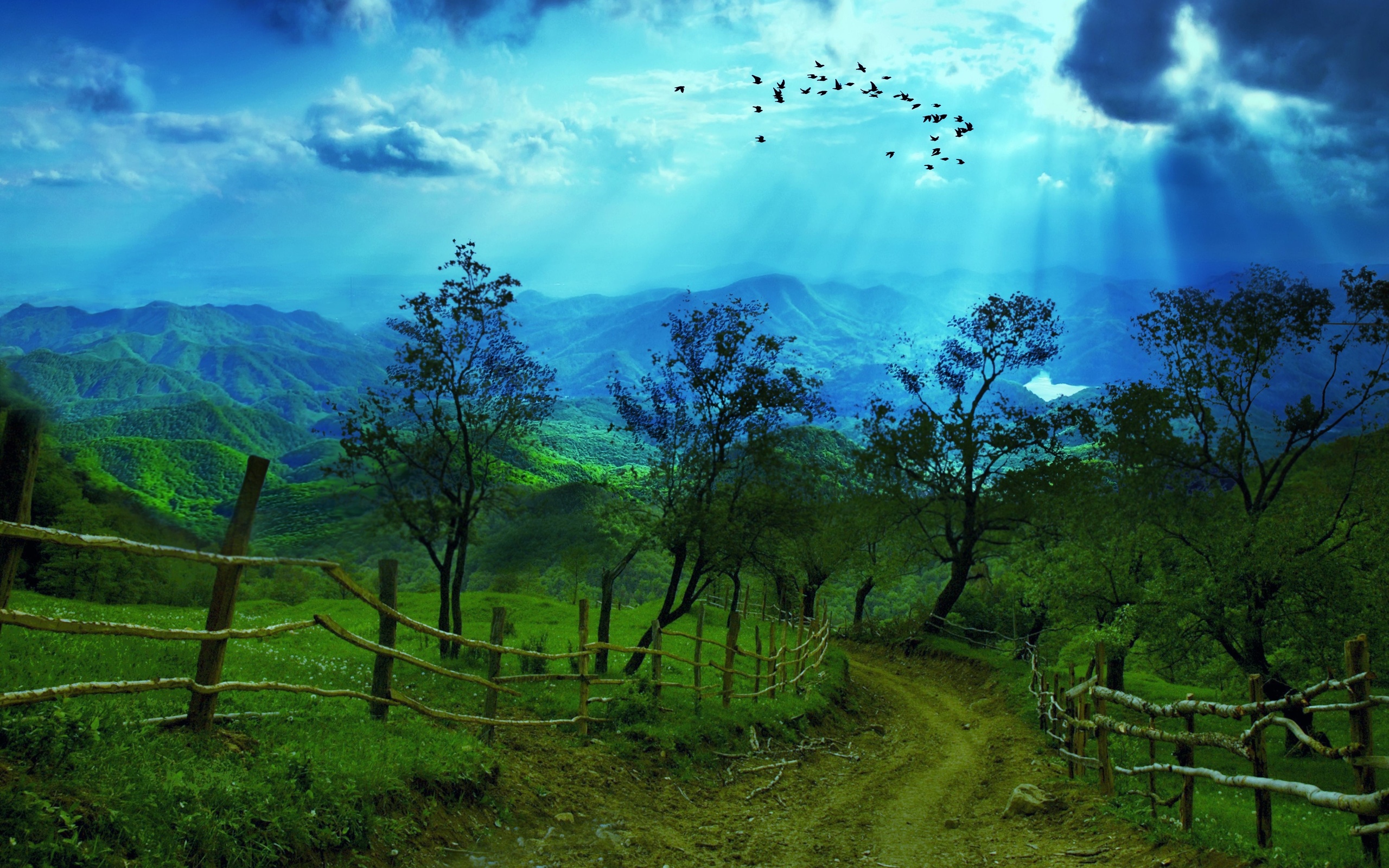  Road Surrounded by Beautiful Nature desktop wallpaper WallpaperPixel 2560x1600