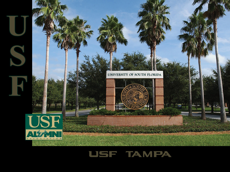 Usf Football Wallpaper Image Search Results