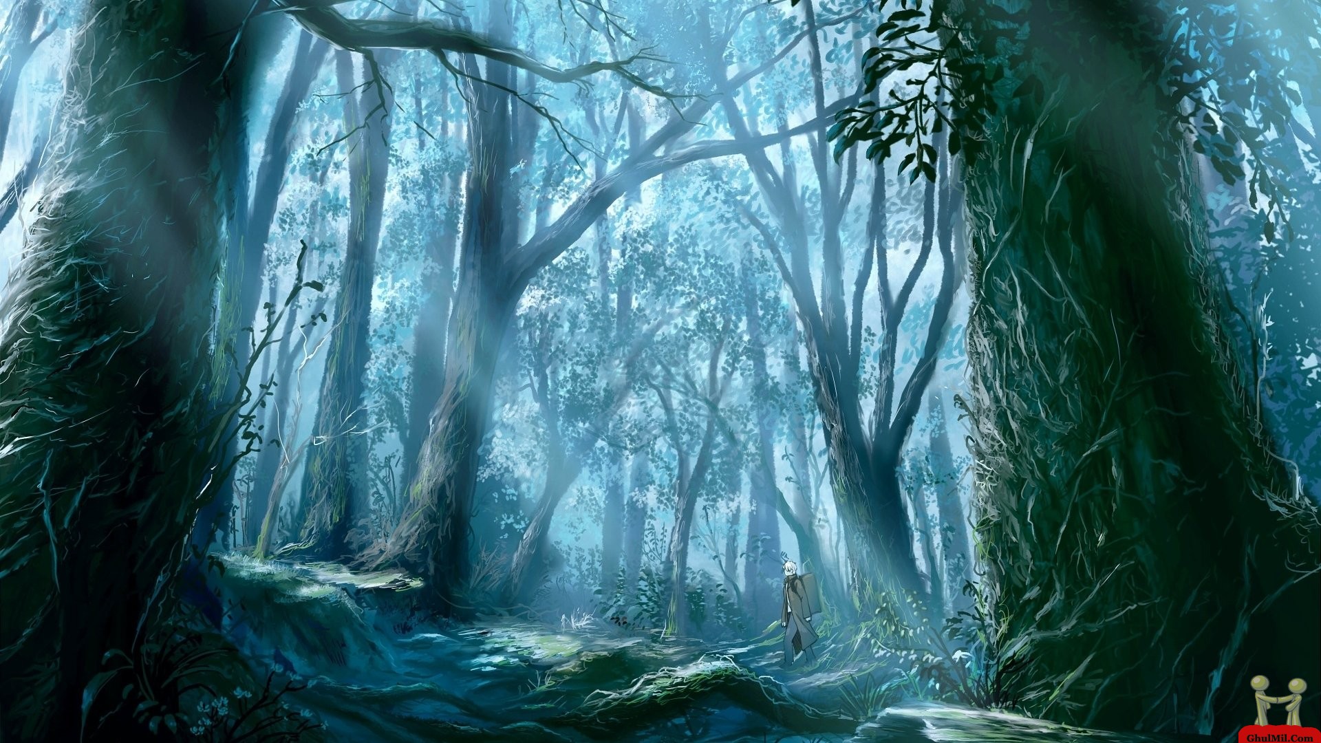 3d Old Thick Forest Wallpaper E Entertainment