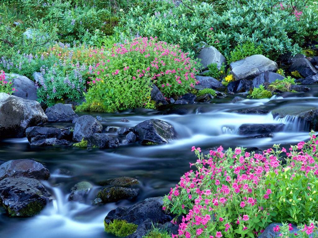 Spring Desktop Wallpapers Ever Cool Desktop Wallpaper