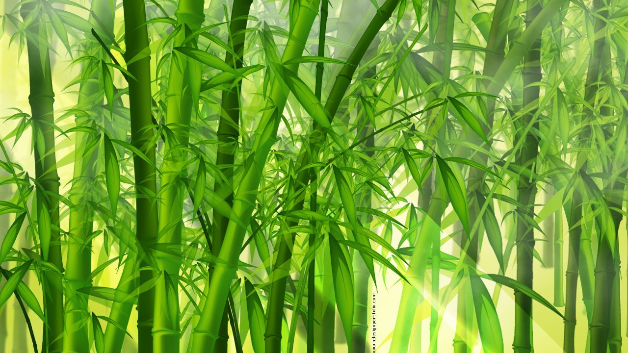 Bamboo Forest Wallpaper WallpaperSafari