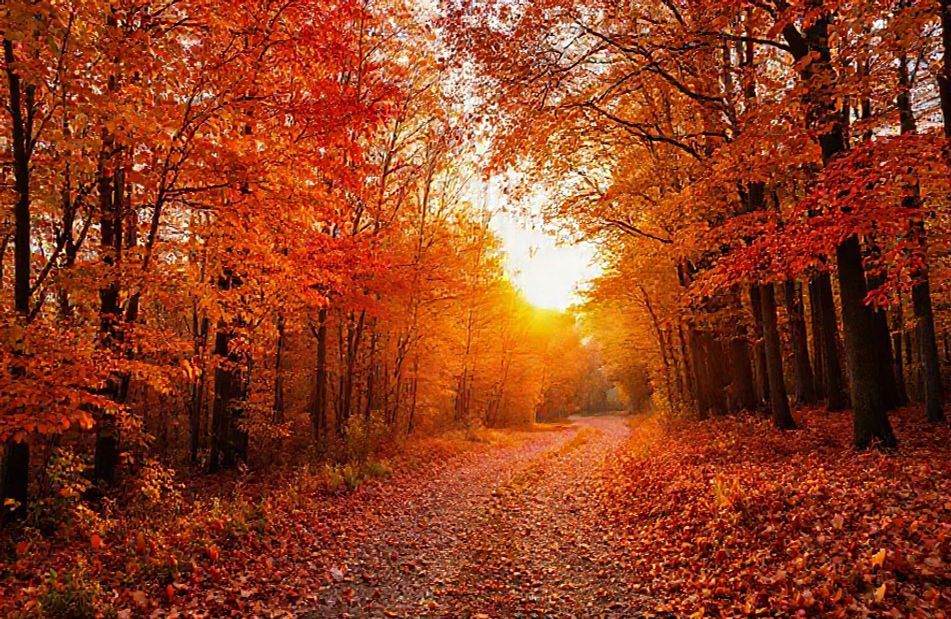 Autumn Wallpaper
