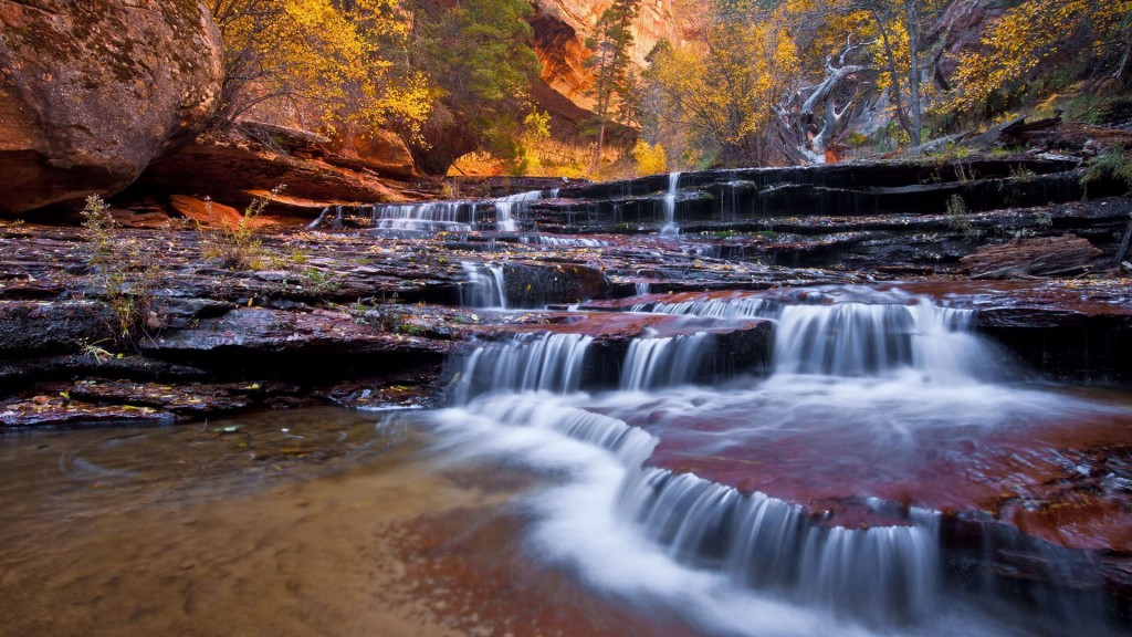 In Zion National Park Wallpaper Nature Usa