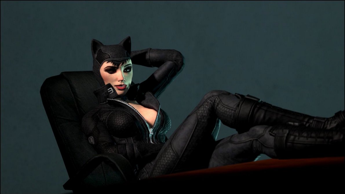 More Artists Like Batman Arkham City Catwoman I By Gelvuun