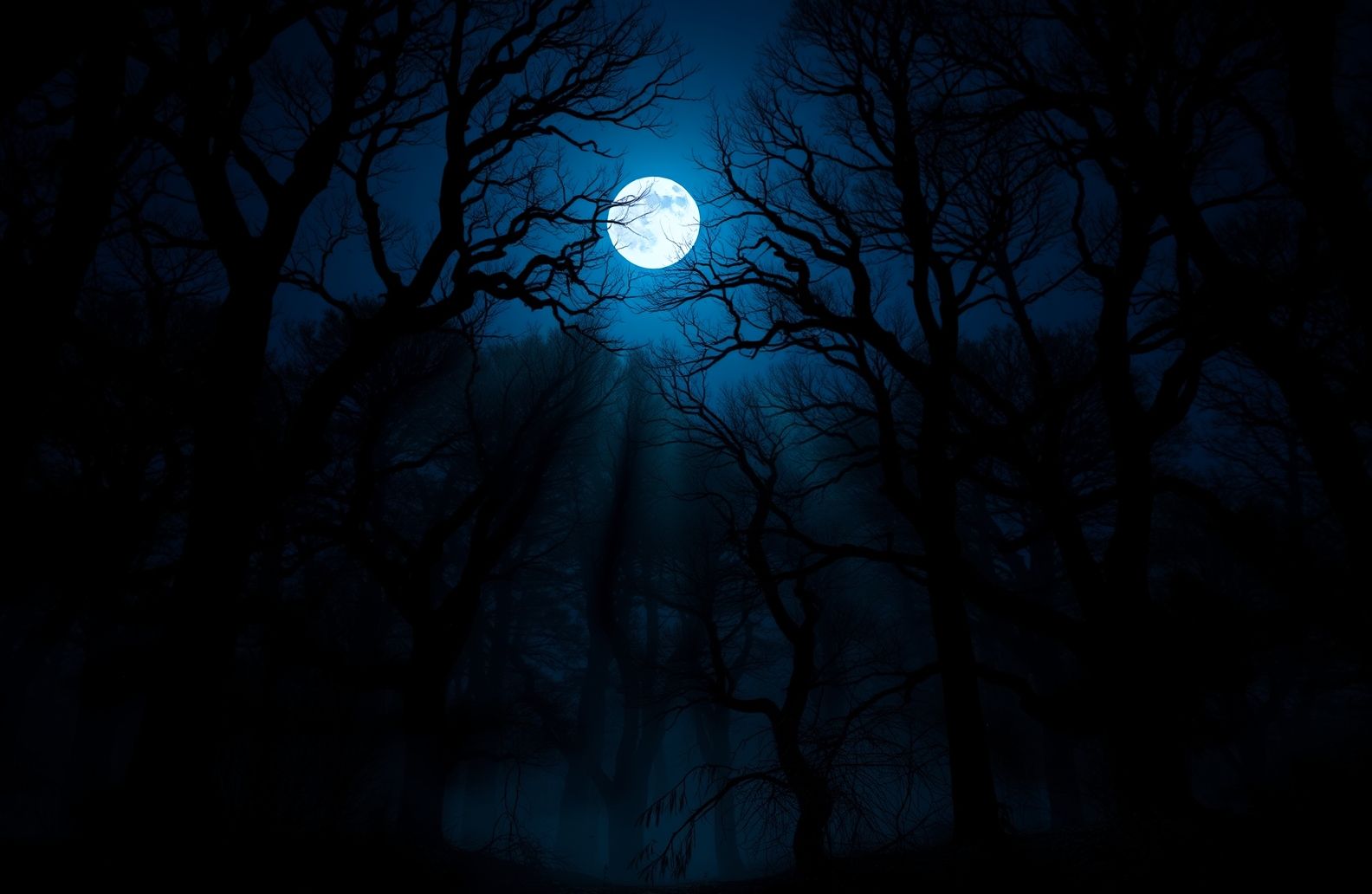 🔥 [60+] Dark Forest With Moon Wallpapers | WallpaperSafari, image size:1584x1032