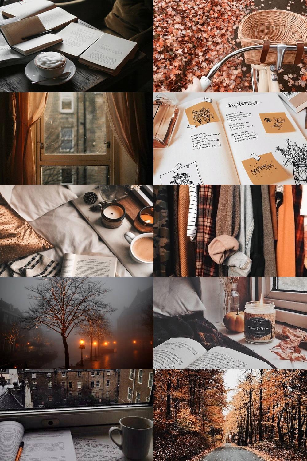 Download Autumn inspired Study Aesthetic Collage Wallpaper