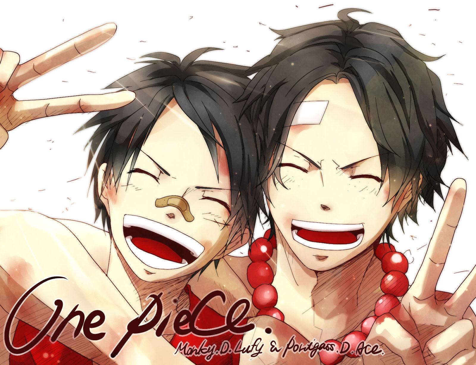 Luffy Ace One Piece HD Wallpaper Animation Wallpapers 1600x1228