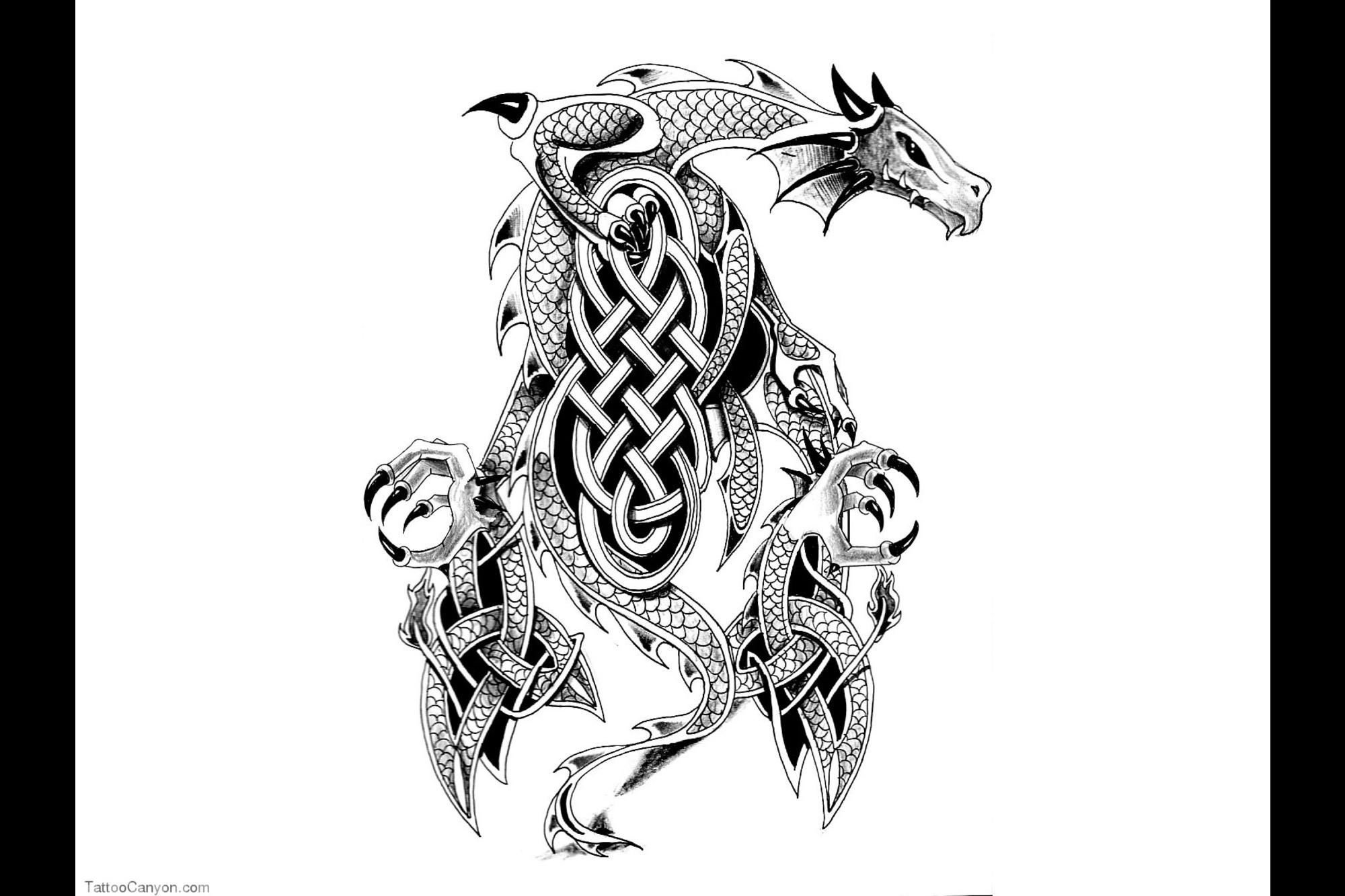 Designs Japanese Warrior Dragon Tattoo Wallpaper Design
