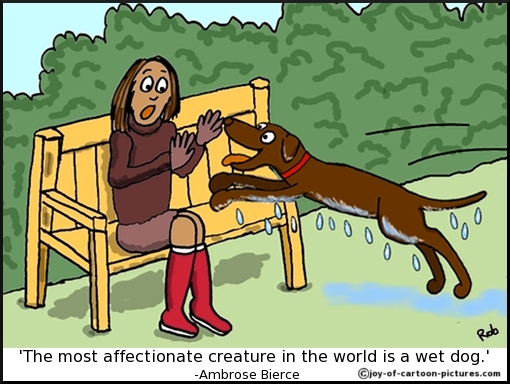 Labrador Cartoons Cartoon Funny Picture