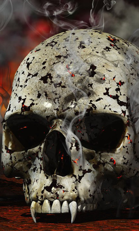 Skull Wallpapers   Android Apps on Google Play