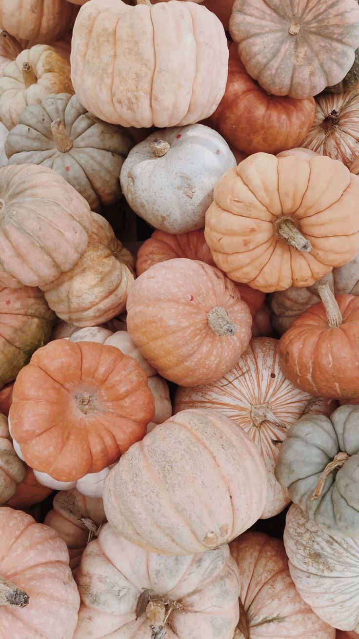Pumpkin Lockscreen In Wallpaper