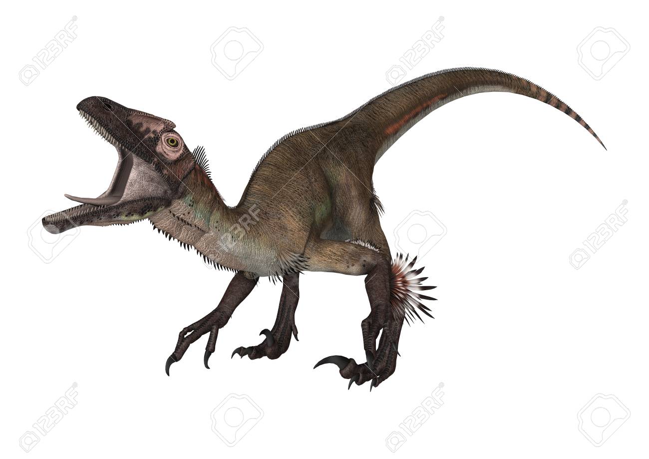 3d Rendering Of A Dinosaur Utahraptor Isolated On White Background
