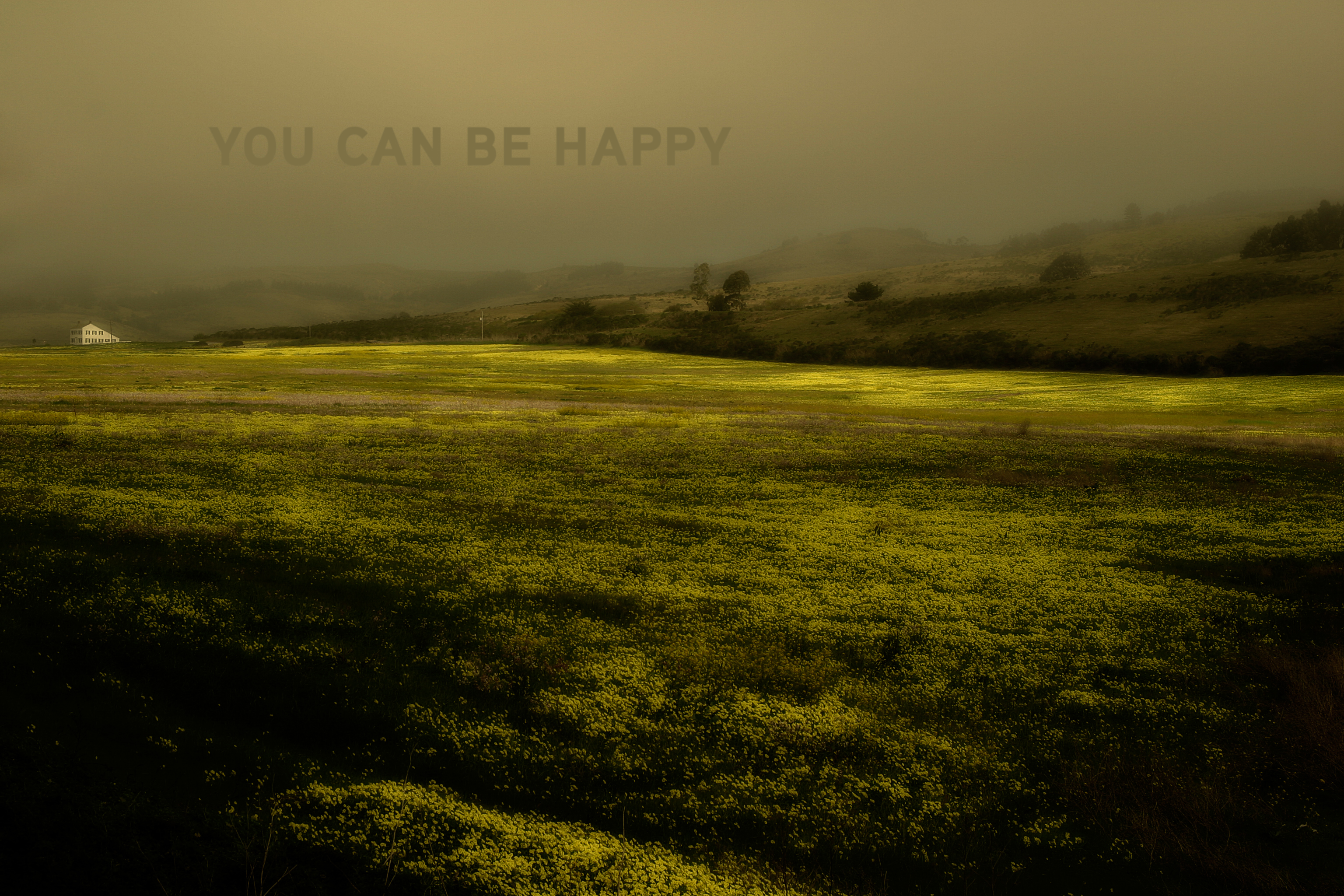 Look You Can Be Happy Ultra Hi Res Image Here Warning