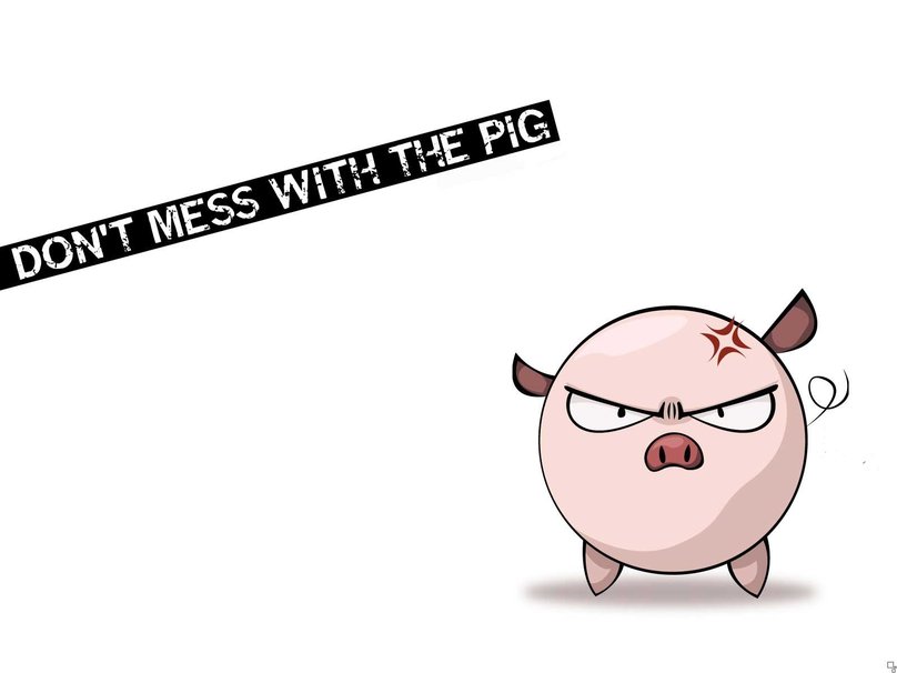 Funny Buhi Don T Mess With The Pig Wallpaper