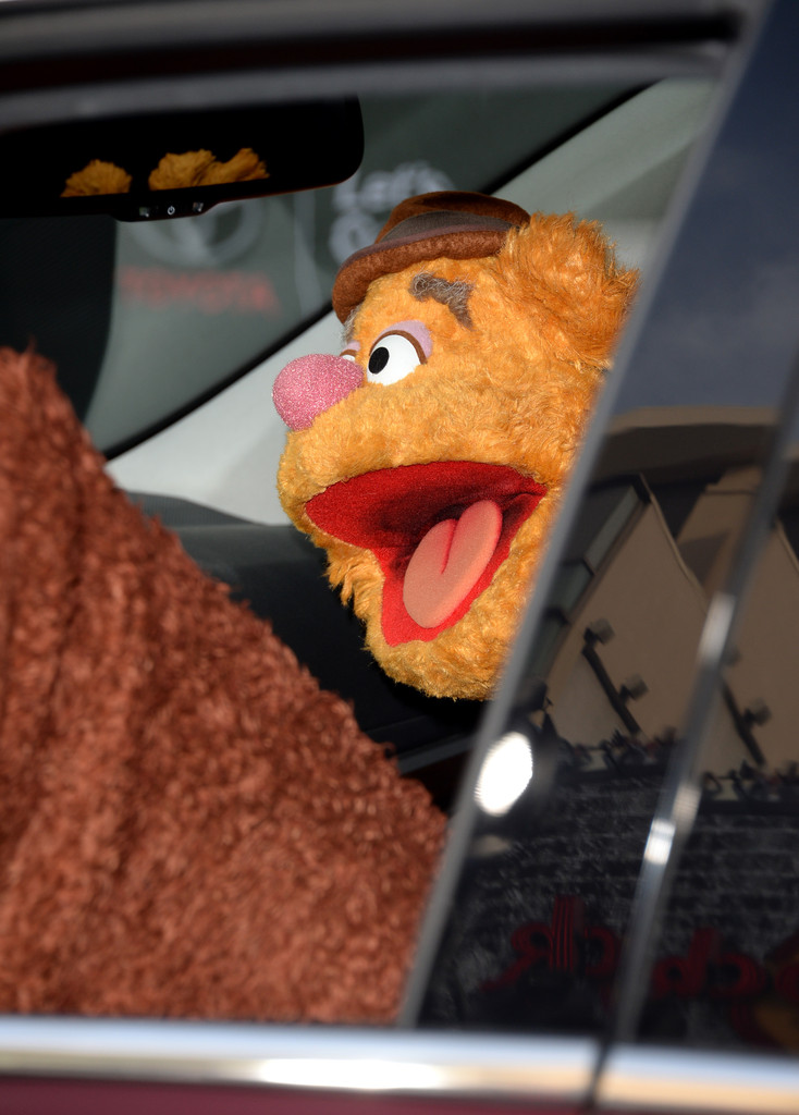 Fozzie Bear Pictures Muppets Most Wanted Premieres In Hollywood