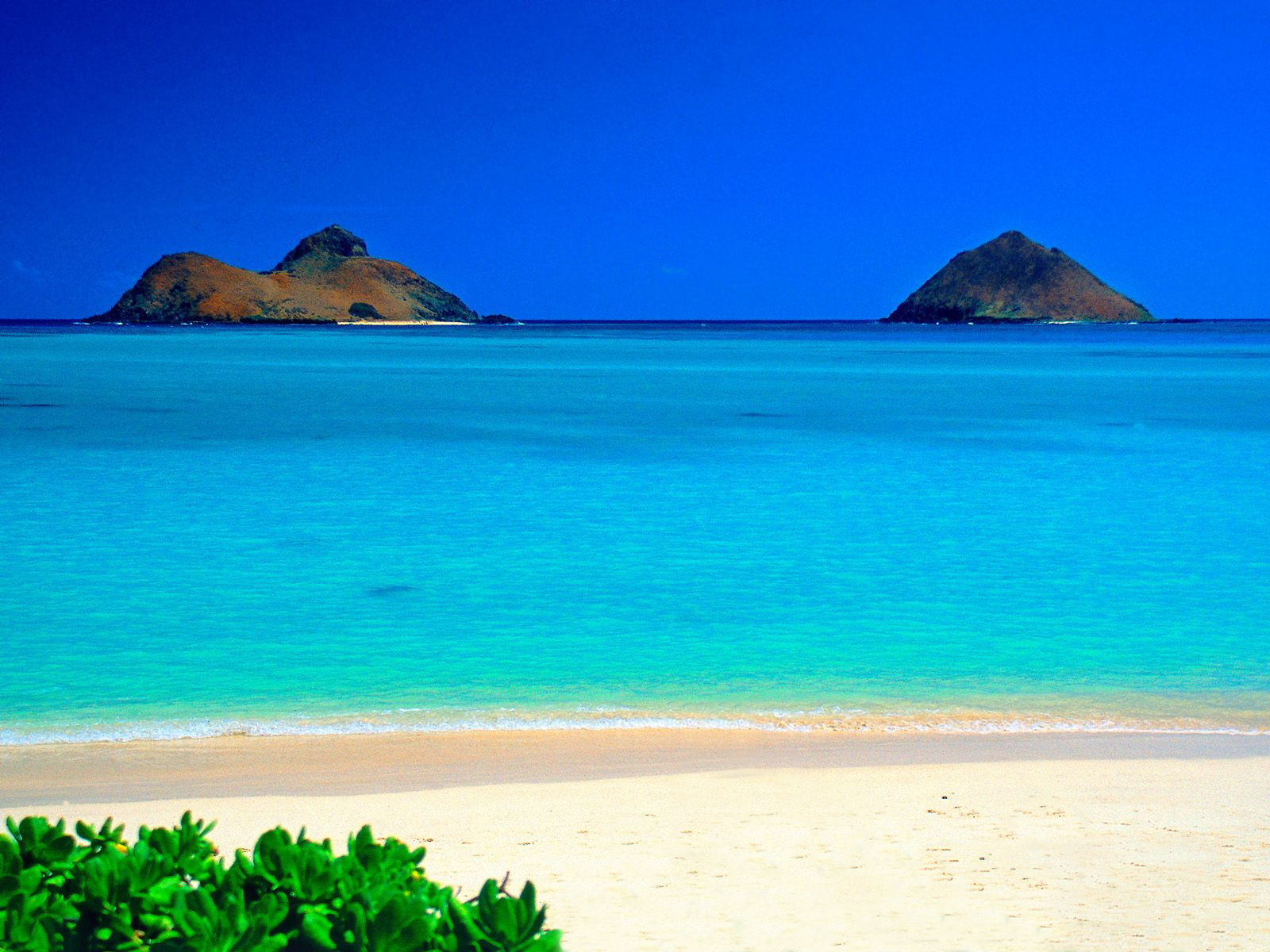 Hawaii islands