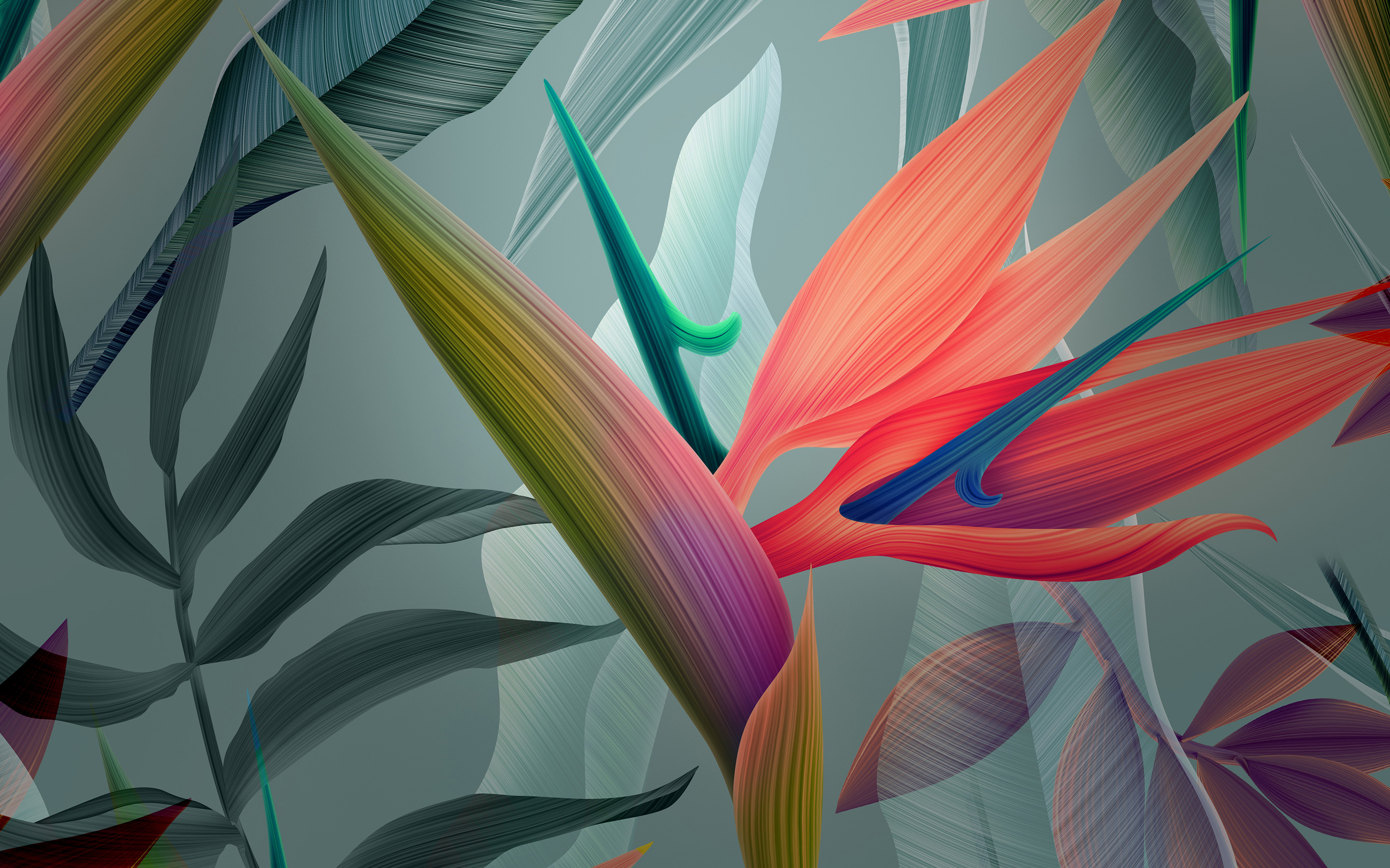 Cool abstract flower wallpaper HD  PixelsTalkNet