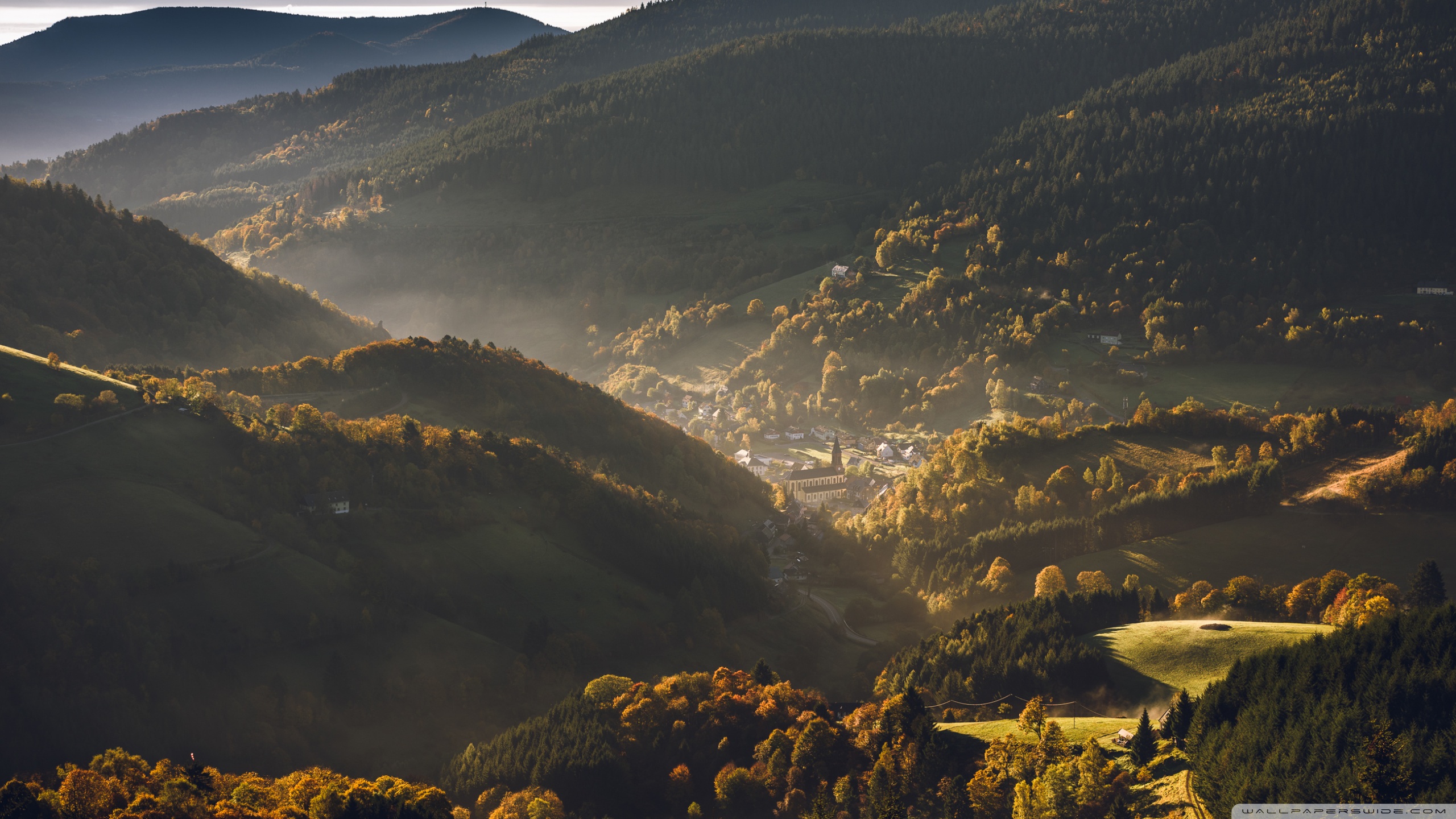 Vosges Mountains Alsace France Autumn 4k HD Desktop