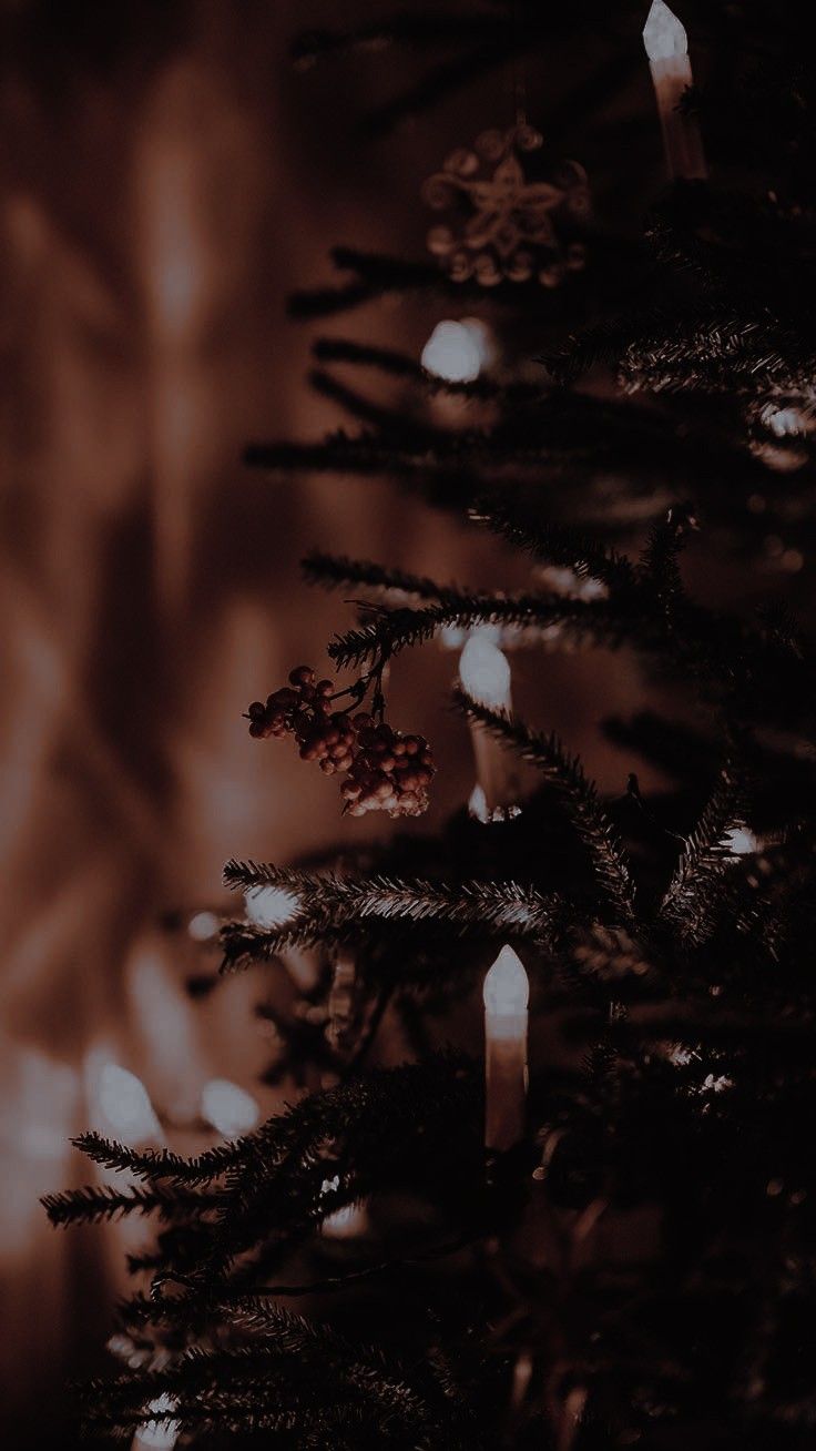 Dark Christmas Aesthetic Wallpaper